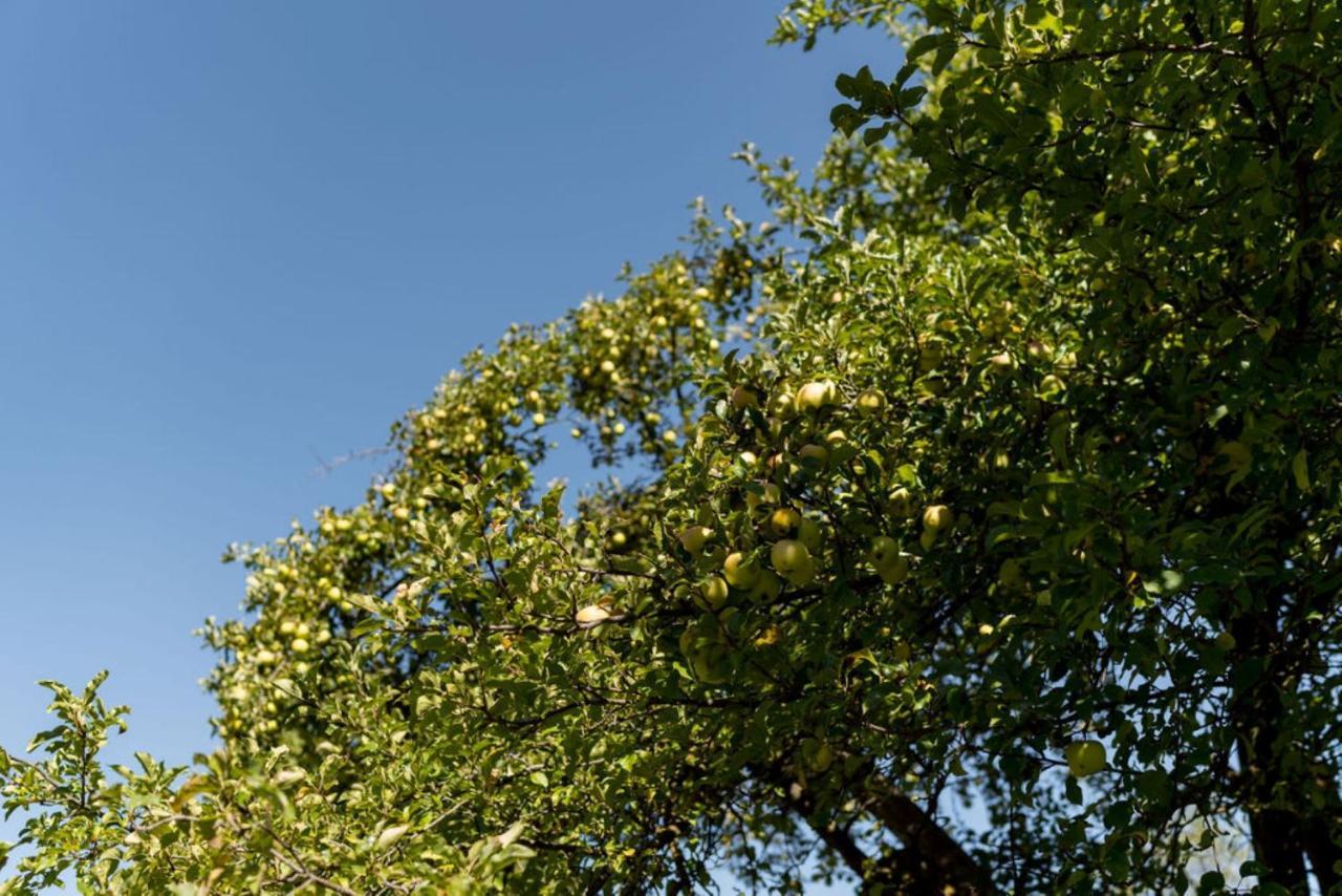 سان لورينزو دي سيباتو Obergasserhof المظهر الخارجي الصورة